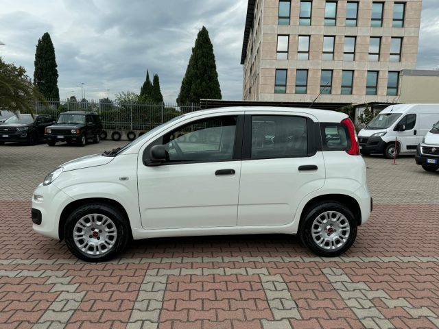 FIAT New Panda 1.2  S.&S.  E6D-TEMP EASY 5 POSTI GUIDABILE NEOPA 