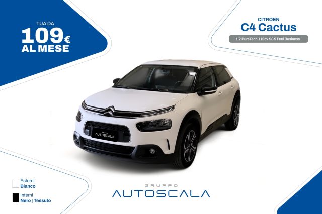 CITROEN C4 Cactus 1.2 PureTech 110cv S&S Feel Business 