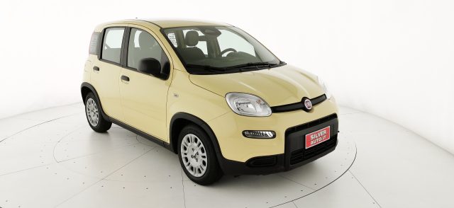 FIAT Panda Giallo metallizzato