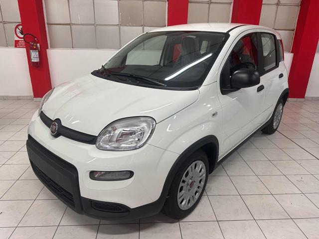 FIAT New Panda Bianco pastello