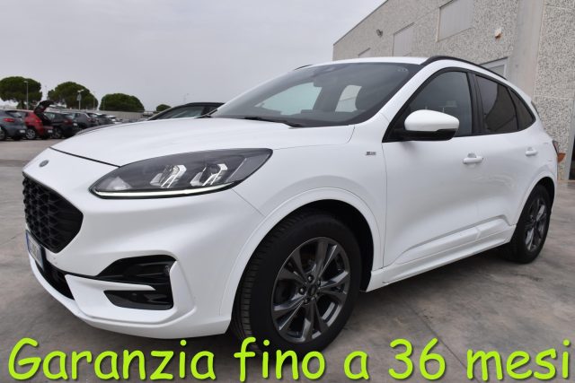 FORD Kuga 1.5 EcoBlue 120 CV aut. 2WD ST-Line 