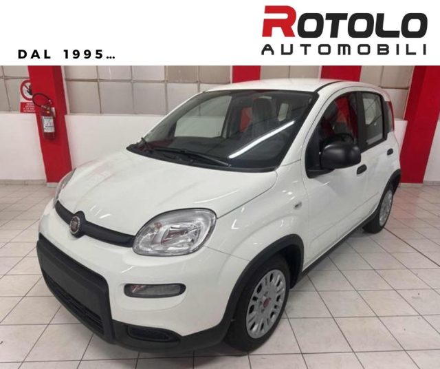 FIAT New Panda Bianco pastello