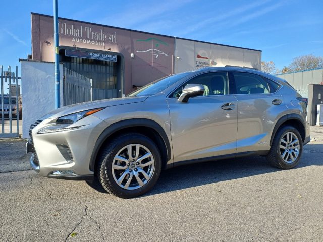 LEXUS NX 300 Antracite metallizzato