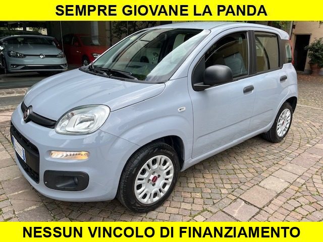 FIAT Panda Grigio pastello