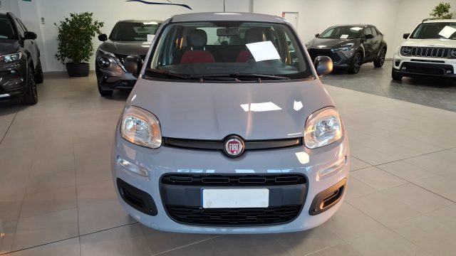 FIAT Panda Grigio pastello