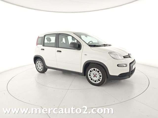 FIAT Panda Bianco pastello