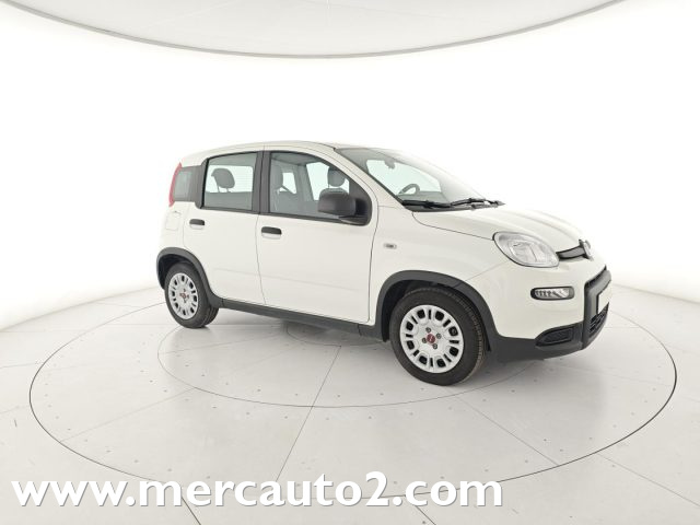 FIAT Panda Bianco pastello