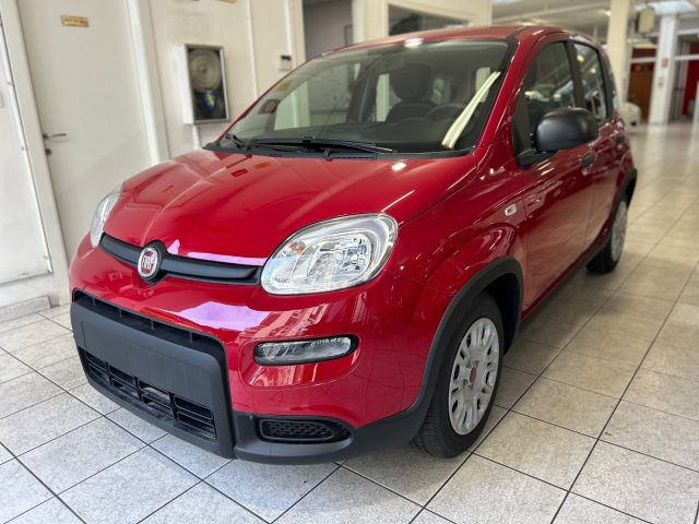 FIAT Panda Rosso pastello