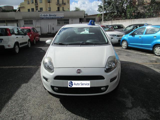 FIAT Punto Bianco pastello