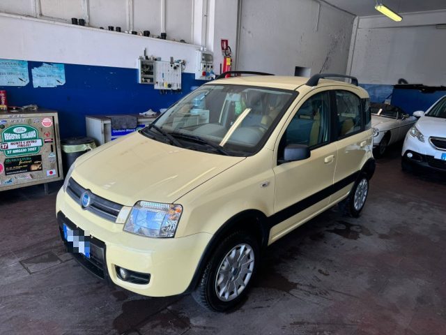 FIAT Panda CIVIT. MARCHE - NEOPATENTATI - 1.2 4x4 Climbing Usato