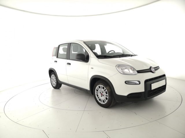 FIAT Panda Bianco pastello