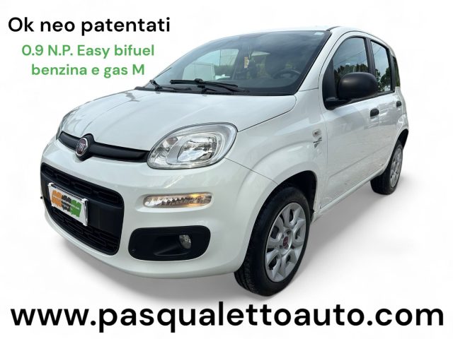 FIAT Panda Bianco pastello