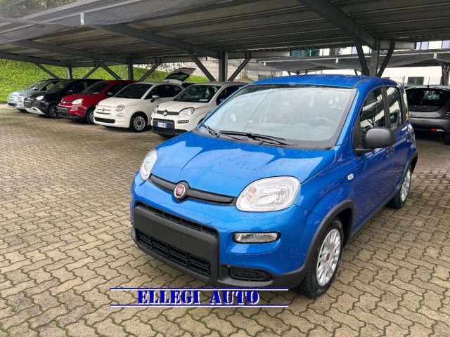 FIAT Panda AZZURRO ITALIA metallizzato