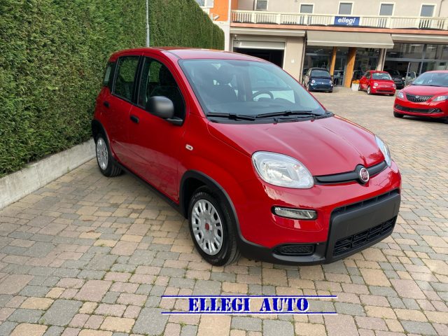 FIAT Panda Rosso pastello