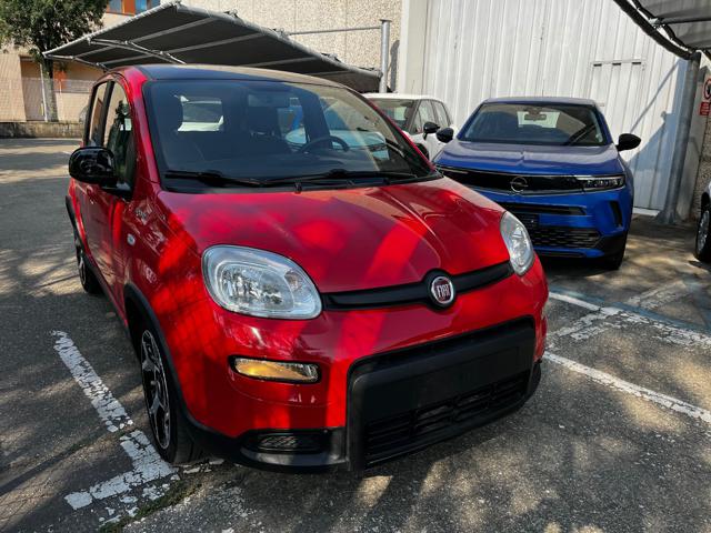 FIAT Panda Rosso pastello