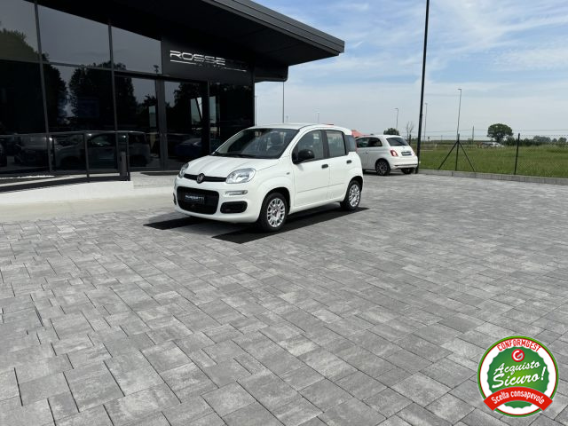 FIAT Panda Bianco pastello