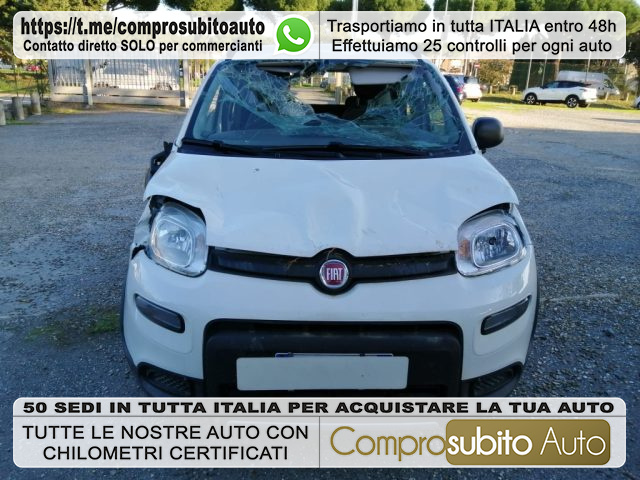 FIAT Panda Bianco metallizzato