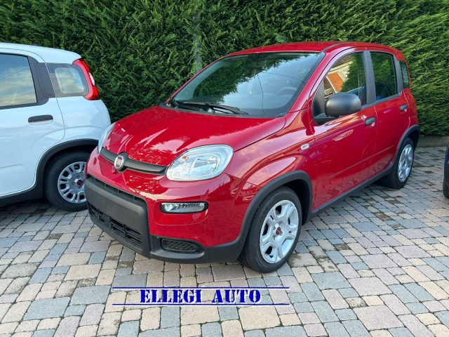 FIAT Panda Rosso extraserie pastello