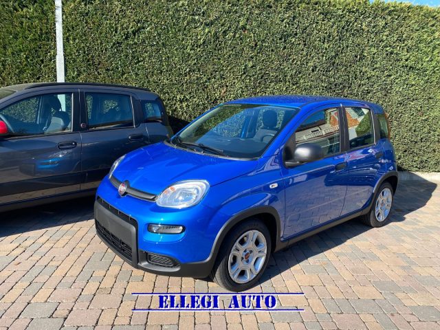 FIAT Panda BLUE ITALIA metallizzato