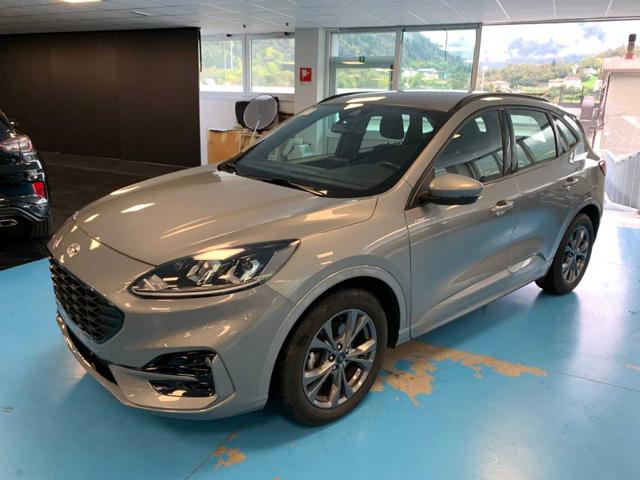 FORD Kuga 2.0 EcoBlue 120 CV aut. 2WD ST-Line - VARI COLORI! 