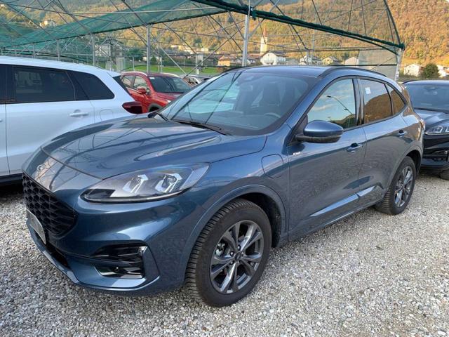 FORD Kuga 2.5 Plug In Hybrid 2WD ST-Line X - VARI COLORI! 