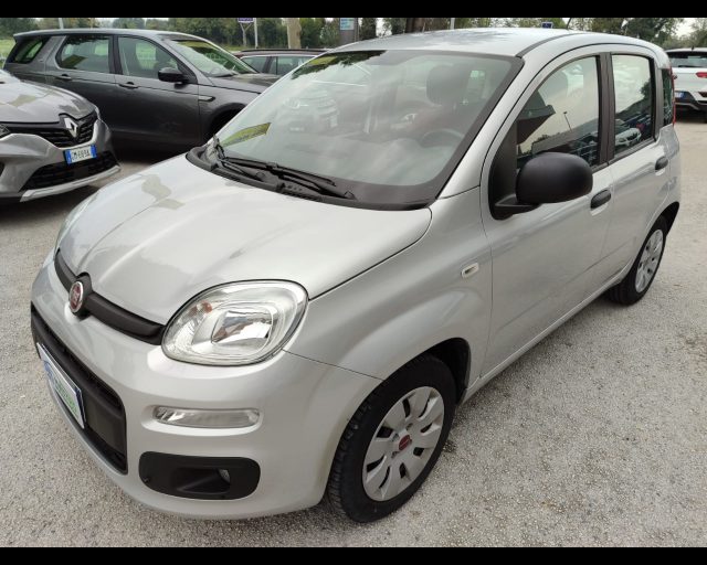 FIAT Panda 1.2 Easy Usato