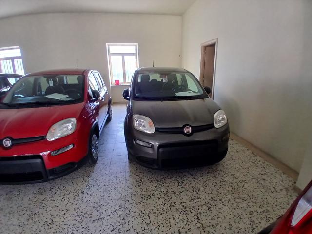 FIAT Panda Grigio metallizzato