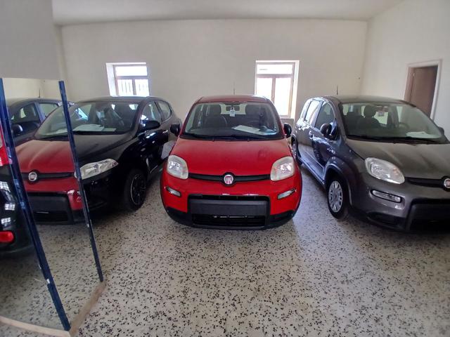 FIAT Panda Rosso passione metallizzato