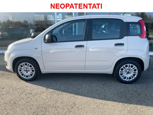 FIAT Panda 1.2 Lounge 