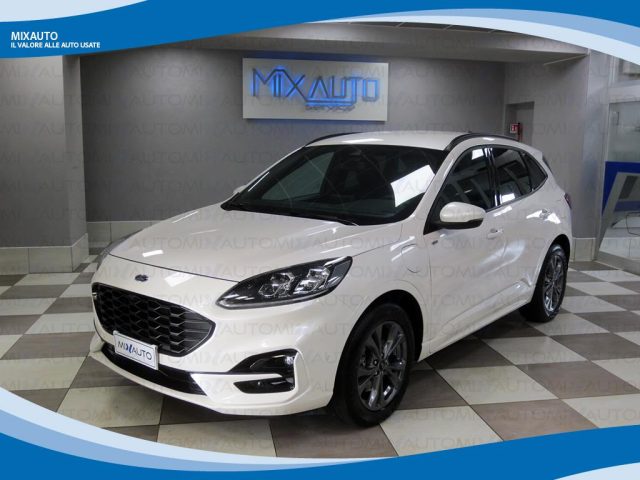 FORD Kuga Bianco perlato