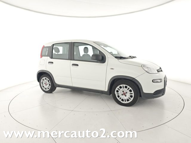 FIAT Panda Bianco pastello