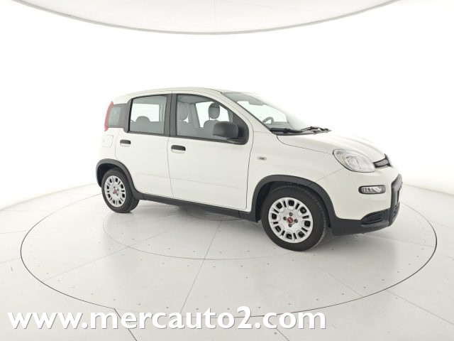 FIAT Panda Bianco pastello