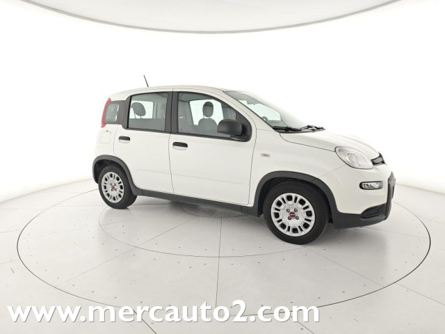 FIAT Panda Bianco pastello