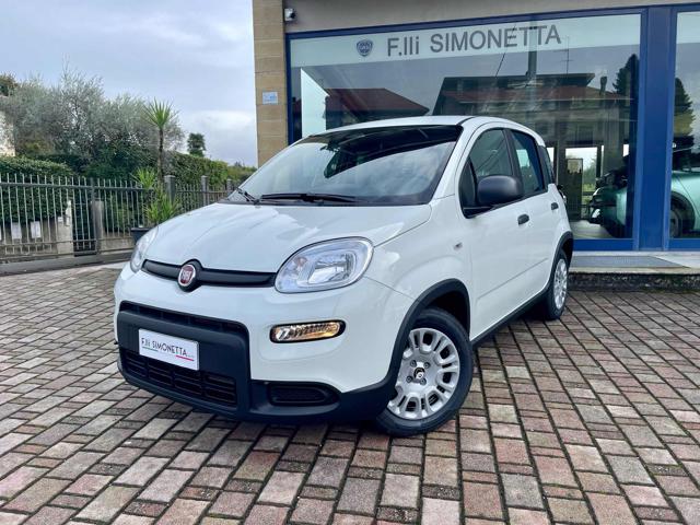 FIAT Panda Bianco pastello