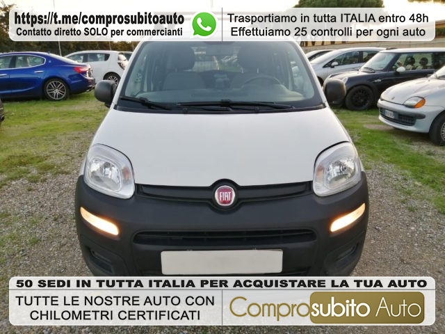 FIAT Panda Blanc Métallisé