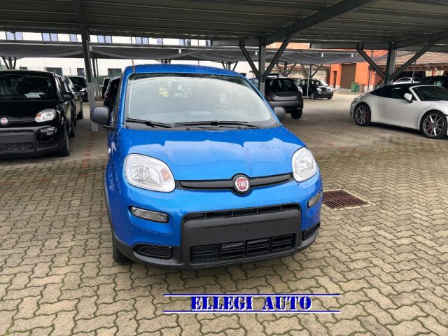 FIAT Panda AZZURRO ITALIA metallizzato