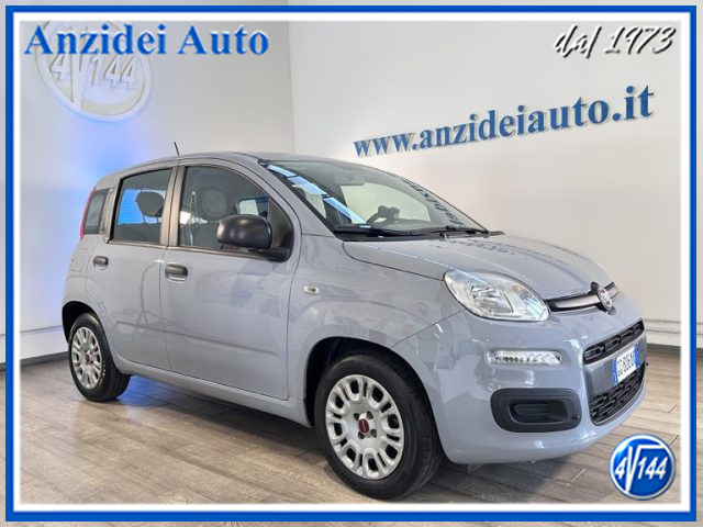 FIAT Panda Grigio pastello