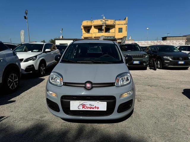 FIAT Panda Grigio moda pastello