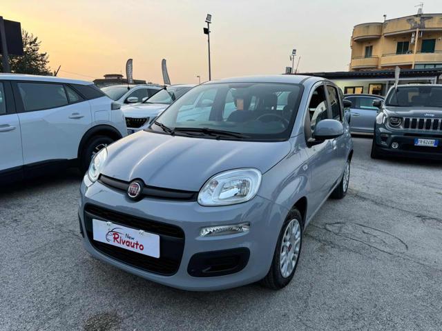 FIAT Panda Grigio cemento pastello