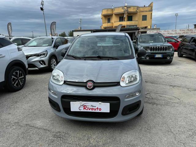 FIAT Panda Grigio cemento pastello