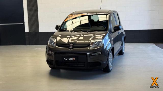 FIAT Panda 1.0 FireFly S&S Hybrid per neopatentati 