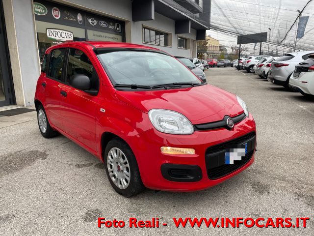 FIAT Panda Rosso pastello