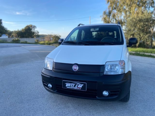 FIAT Panda 1.3 MJT DPF Van Active 2 posti AUTOCARRO Usato