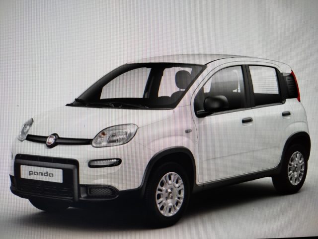 FIAT Panda 1.0 FireFly S&S Hybrid MY24 