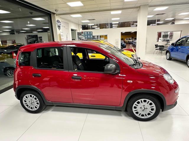 FIAT Panda 1.0 FireFly S&S Hybrid KM ZERO 