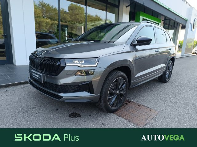 SKODA Karoq Grigio pastello