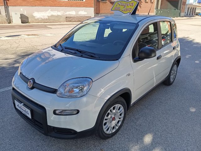 FIAT Panda 1.0 FireFly S&S Hybrid KM 0 OK NEOPATENTATI 