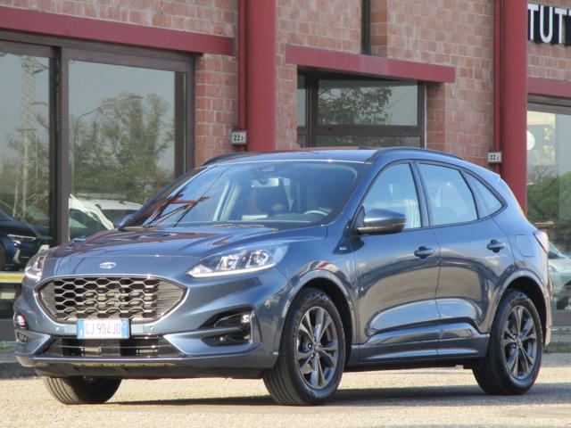 FORD Kuga 1.5 EcoBlue 120 CV aut. 2WD ST-Line 