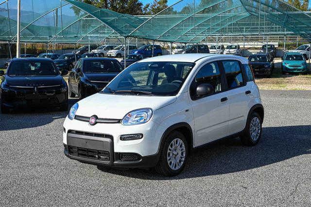 FIAT Panda 1.0 Hybrid 70cv SERIE 7 