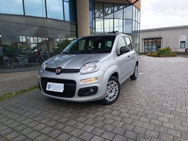 FIAT Panda 1.2 EasyPower Easy Usato